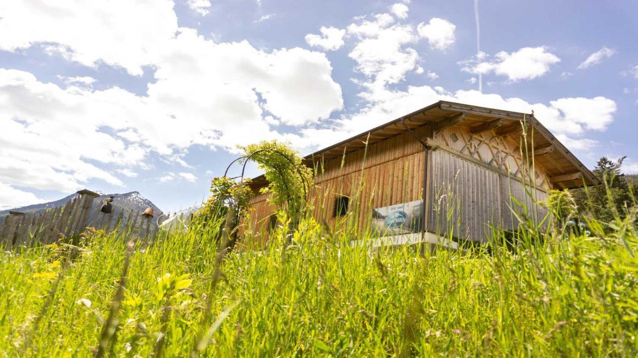 Stubaier Bauern Appartement Telfes im Stubai Εξωτερικό φωτογραφία